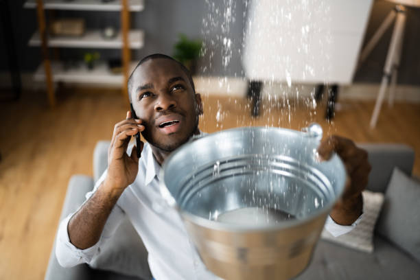 Best Plumbing Leak and Burst Pipe Cleanup in Randleman, NC